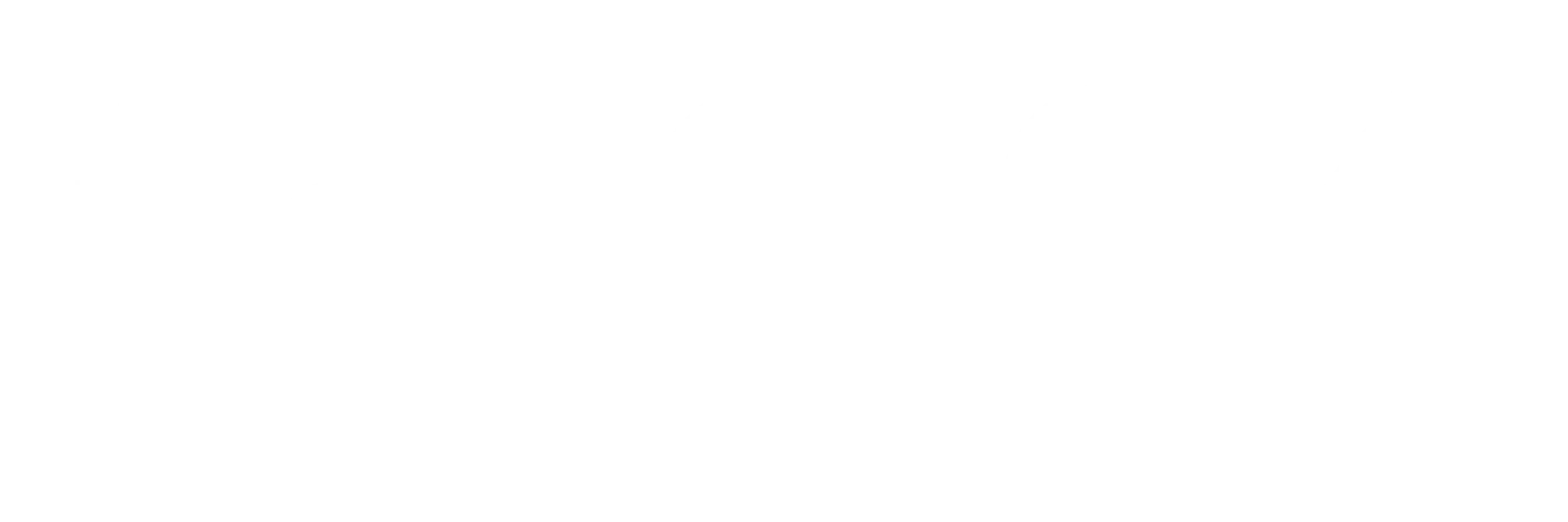 Telo24 Logo